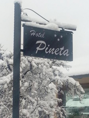 Гостиница Hotel Pineta, Понте Ди Леньо